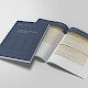 Personal Injuries Guide (Book of Quantum 2020)